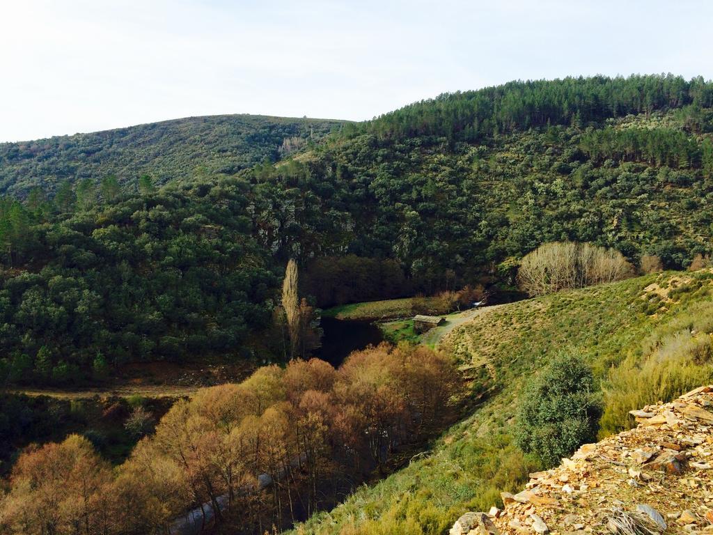 La Primavera Nuez Kültér fotó